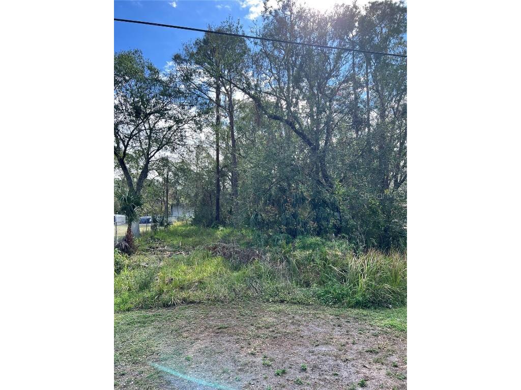 18418 S 301 Highway Wimauma FL 33598 A4633428 image1