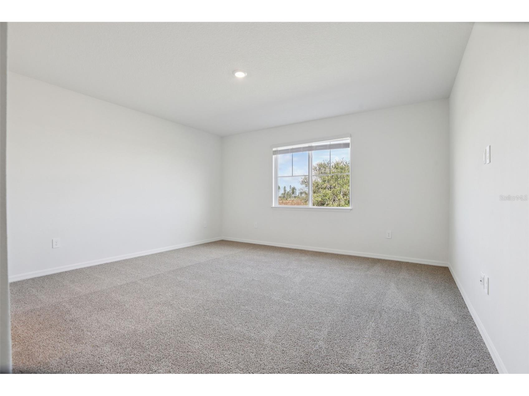 1842 Coolridge Place Zephyrhills FL 33541 O6370220 image35