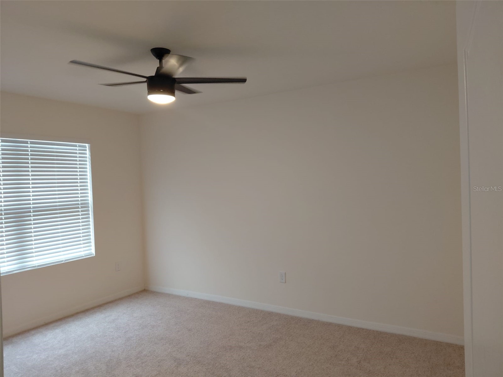 1842 Egret Meadows Avenue Kissimmee FL 34744 TB8487619 image21