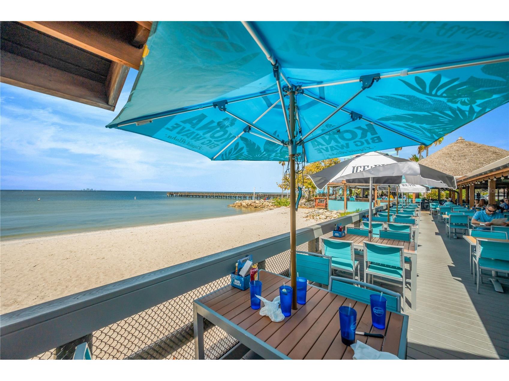 1842 Mira Lago Circle Ruskin FL 33570 TB8494256 image54