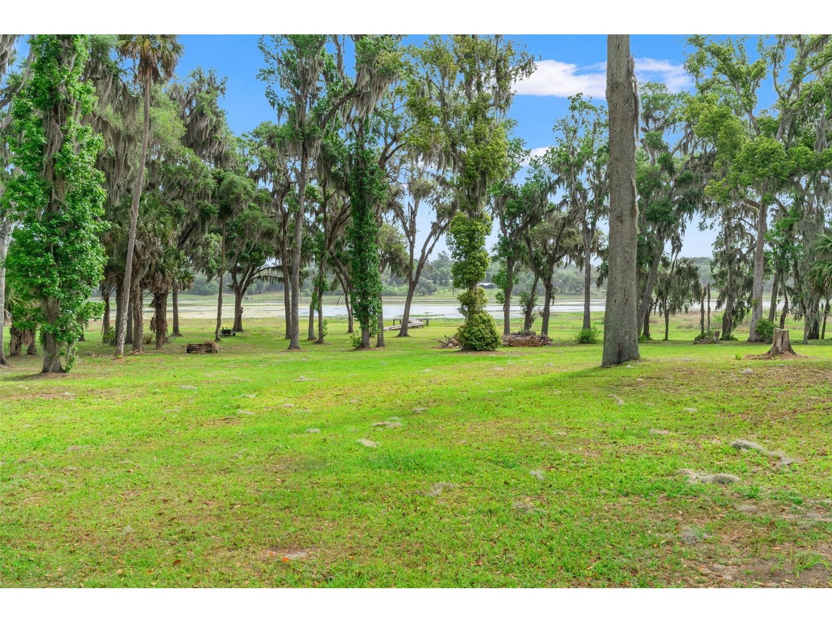 18420 Hancock Bluff Road Dade City FL 33523 TB8493321 image53