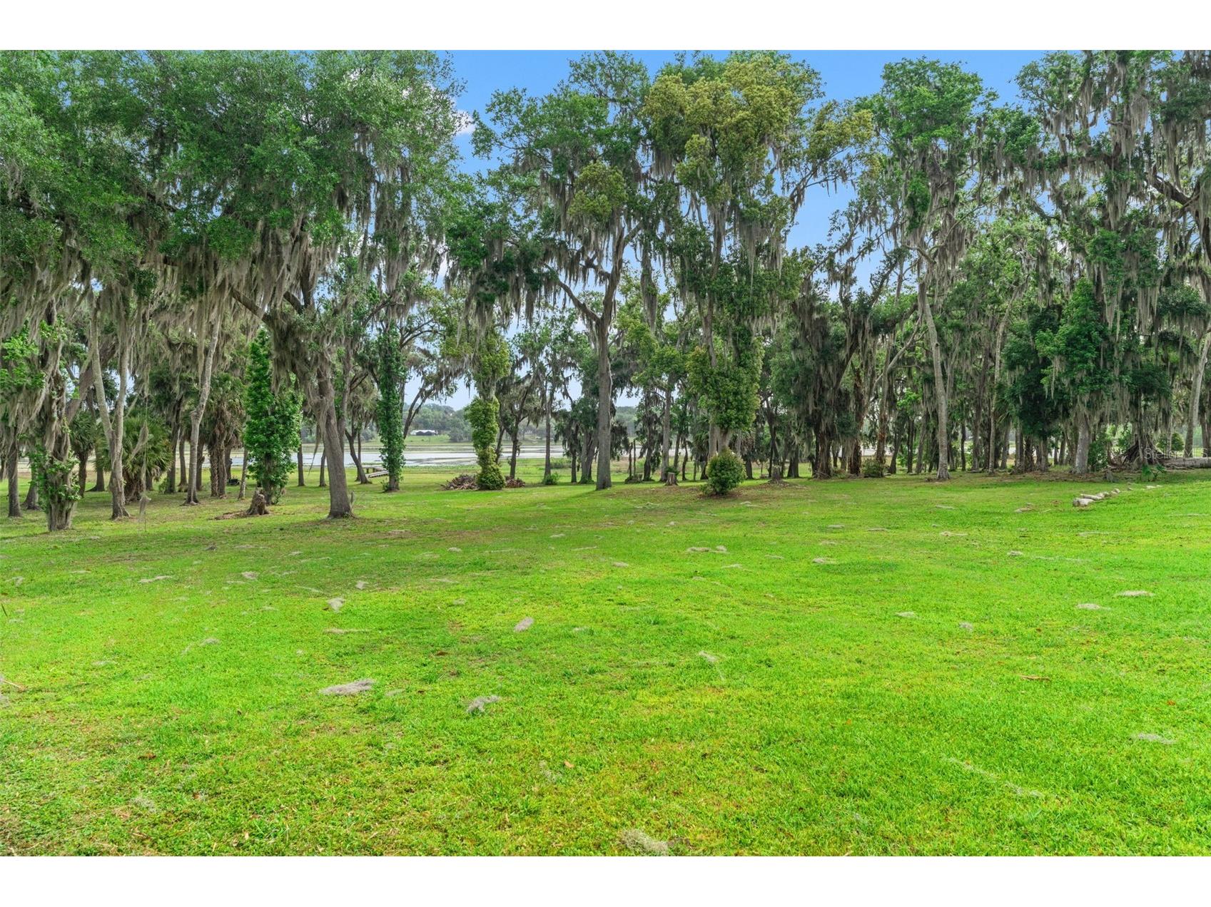 18420 Hancock Bluff Road Dade City FL 33523 TB8493321 image54