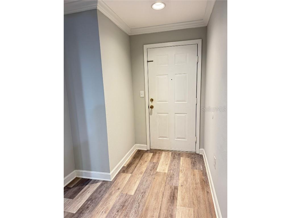 18421 Bridle Club Drive #18421 Tampa FL 33647 TB8454017 image2