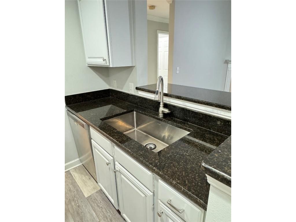 18421 Bridle Club Drive #18421 Tampa FL 33647 TB8454017 image3