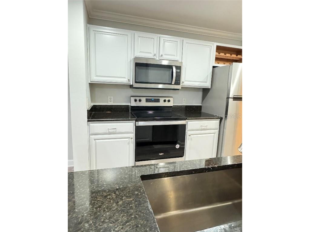 18421 Bridle Club Drive #18421 Tampa FL 33647 TB8454017 image4