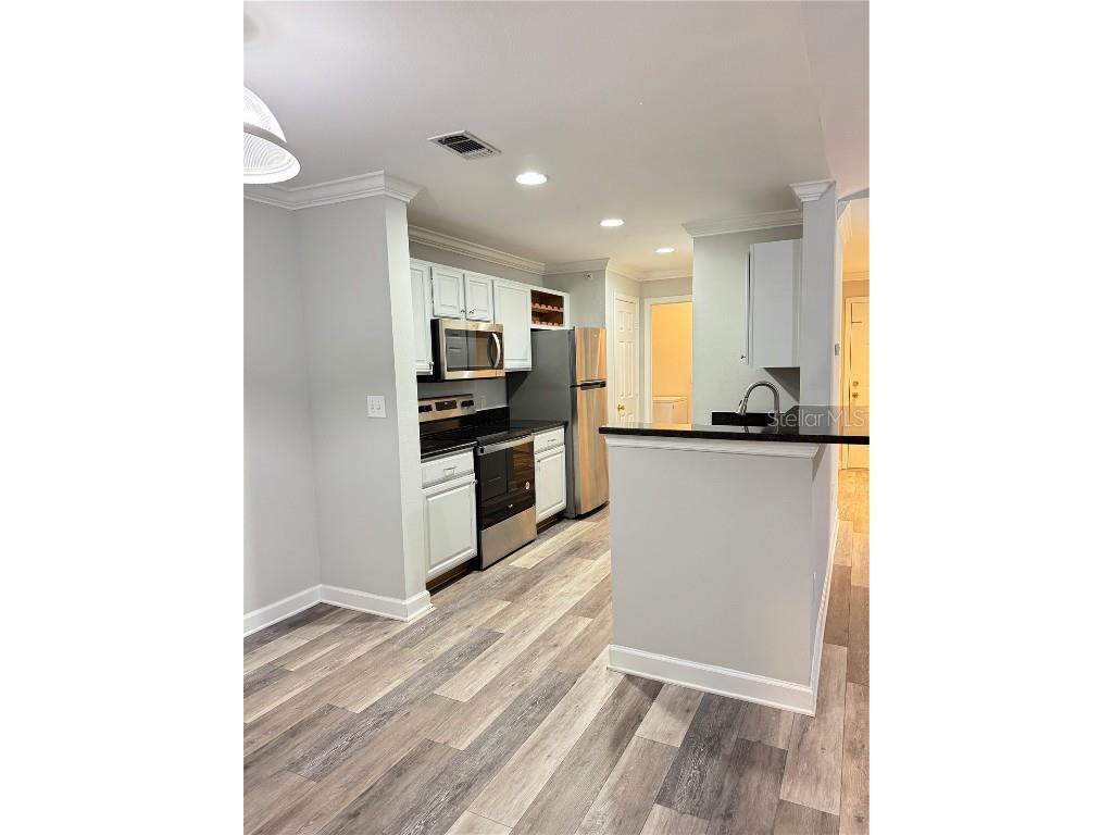 18421 Bridle Club Drive #18421 Tampa FL 33647 TB8454017 image5