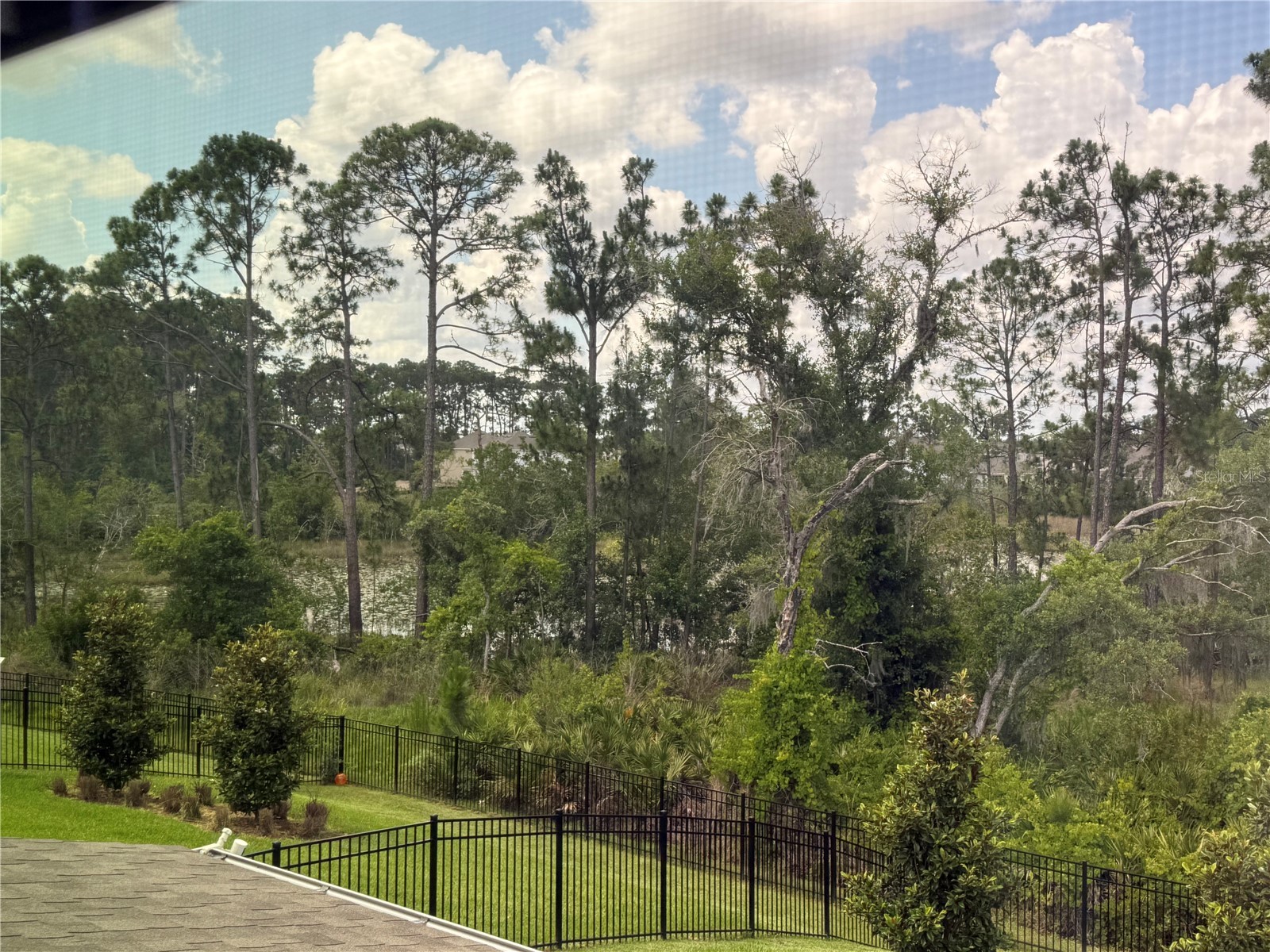 18422 Oliver Twist Way Winter Garden FL 34787 O6412770 image28