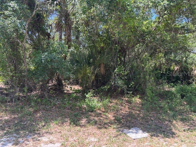18423 Fremont Avenue Port Charlotte FL 33954 N6138962 image1