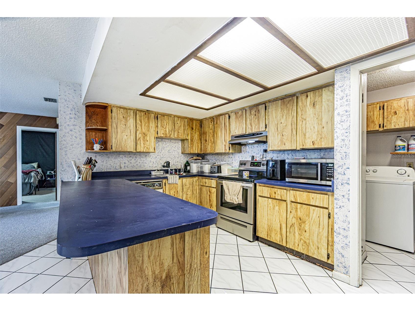 18425 Swan Lake Drive Lutz FL 33549 TB8521778 image21