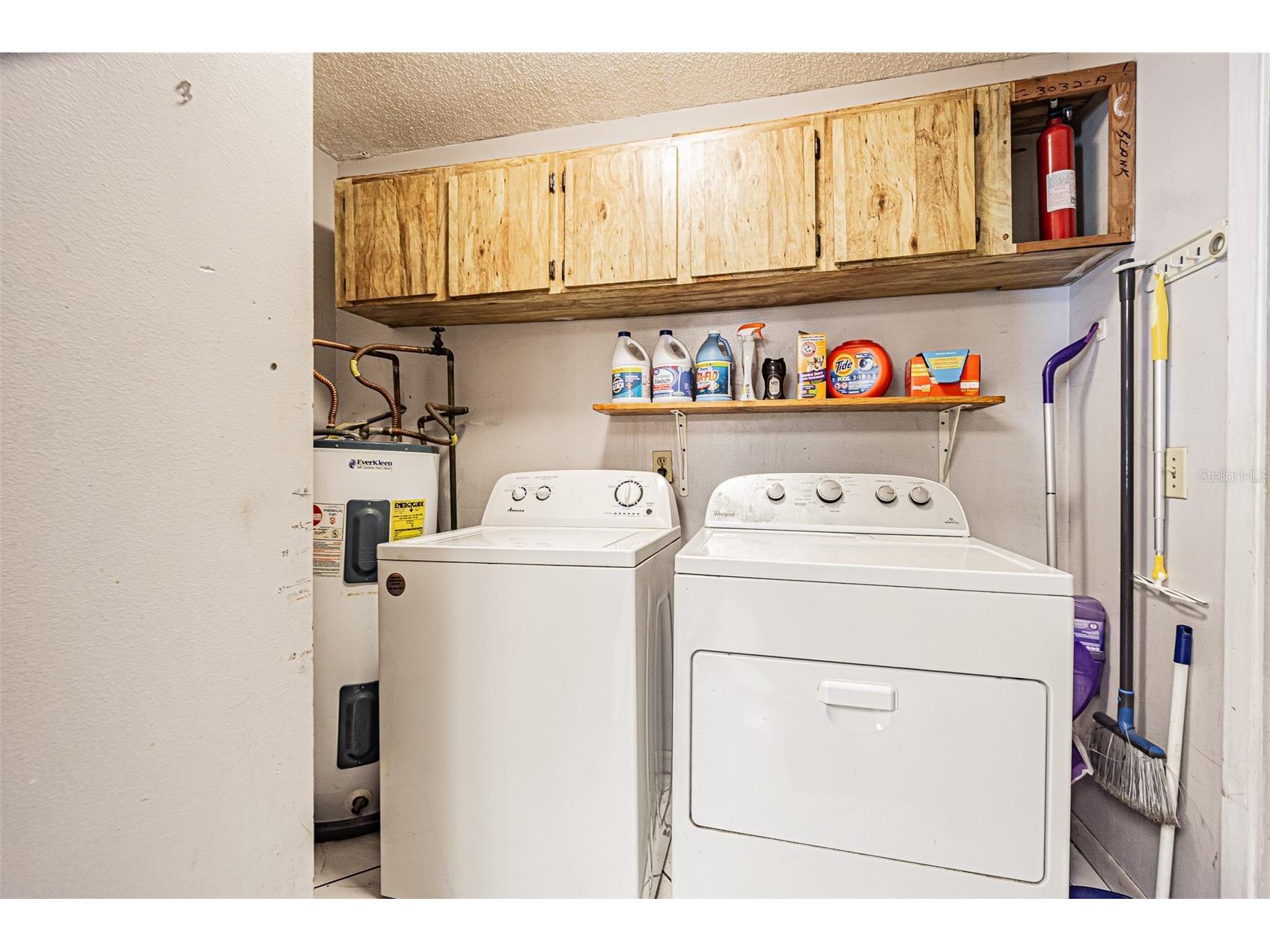 18425 Swan Lake Drive Lutz FL 33549 TB8521778 image24