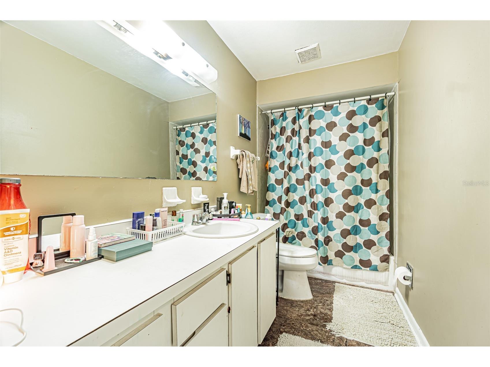 18425 Swan Lake Drive Lutz FL 33549 TB8521778 image37