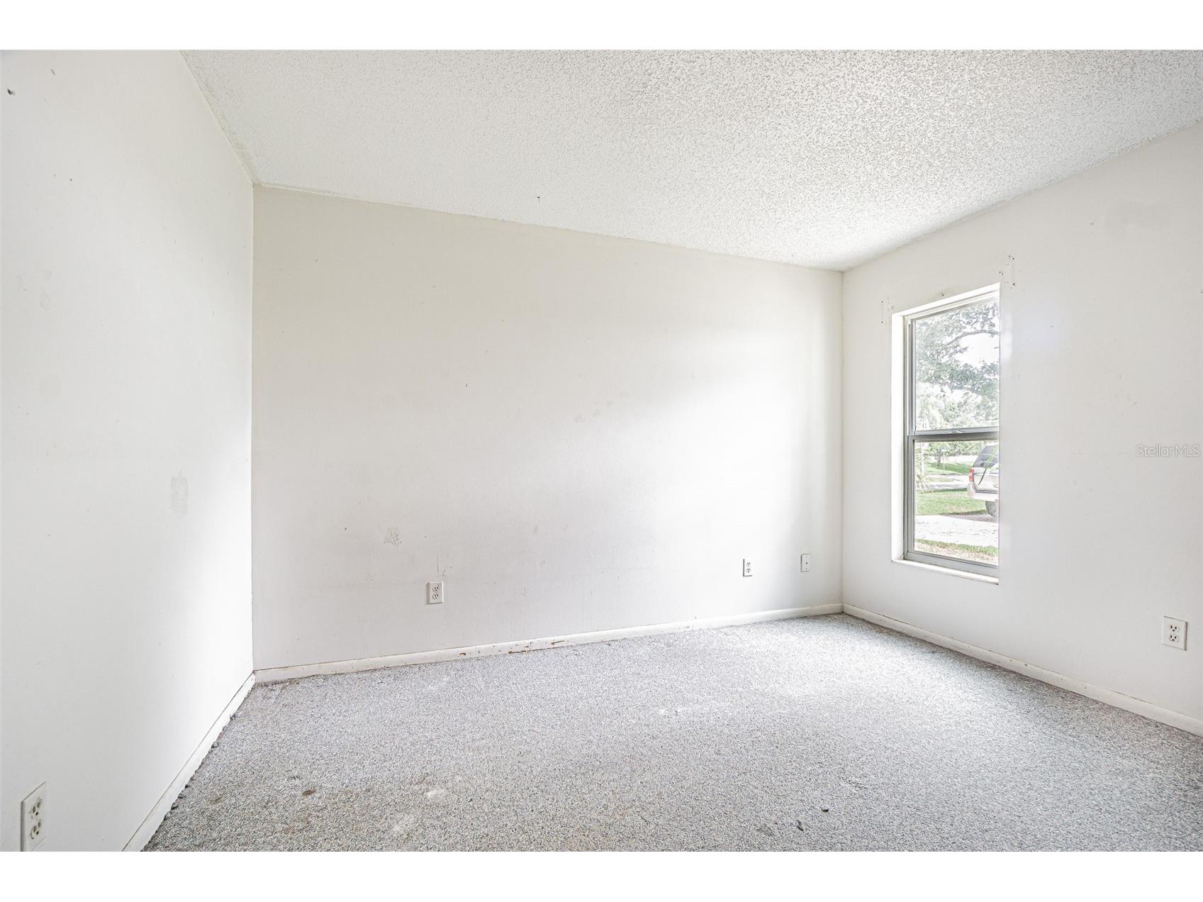 18425 Swan Lake Drive Lutz FL 33549 TB8521778 image38