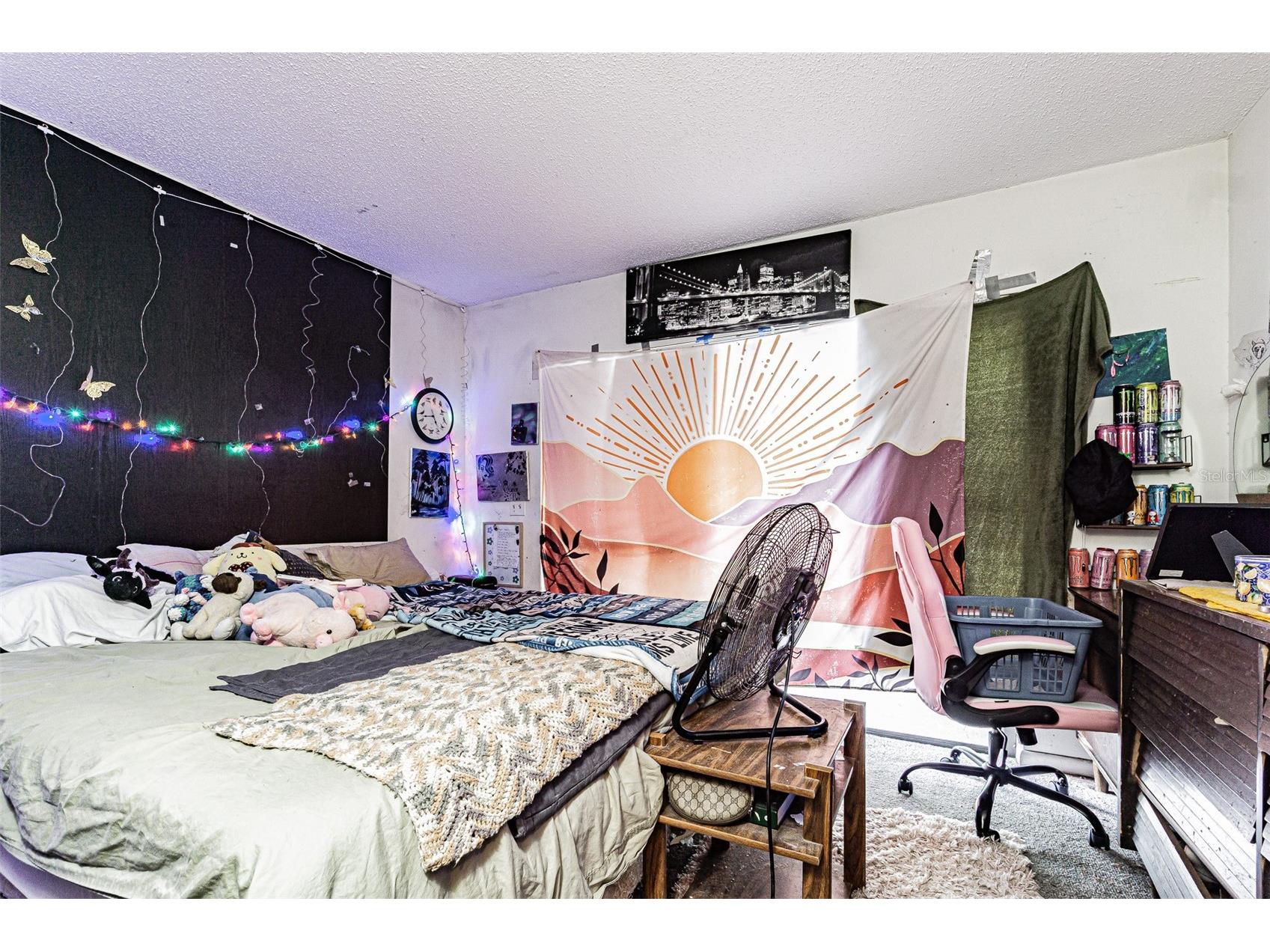 18425 Swan Lake Drive Lutz FL 33549 TB8521778 image39