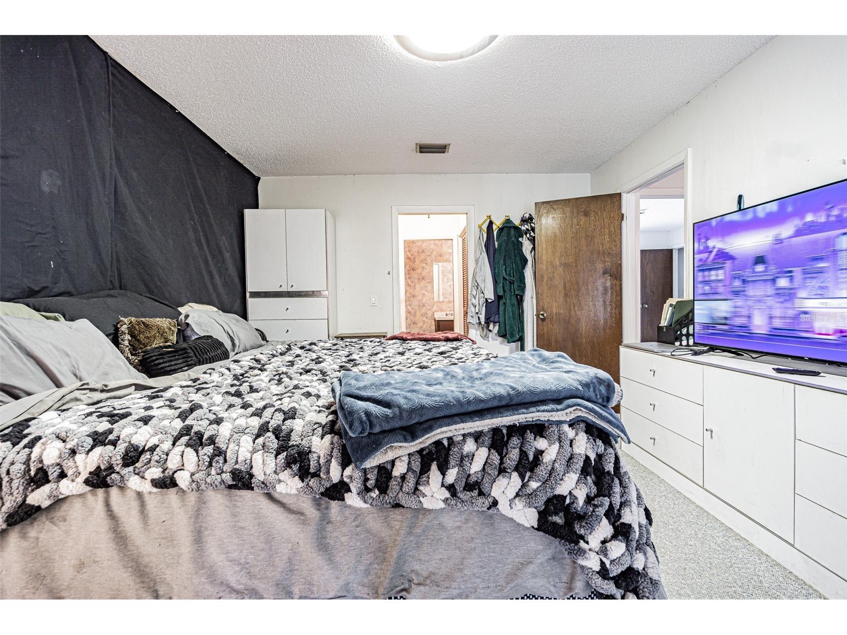 18425 Swan Lake Drive Lutz FL 33549 TB8521778 image42