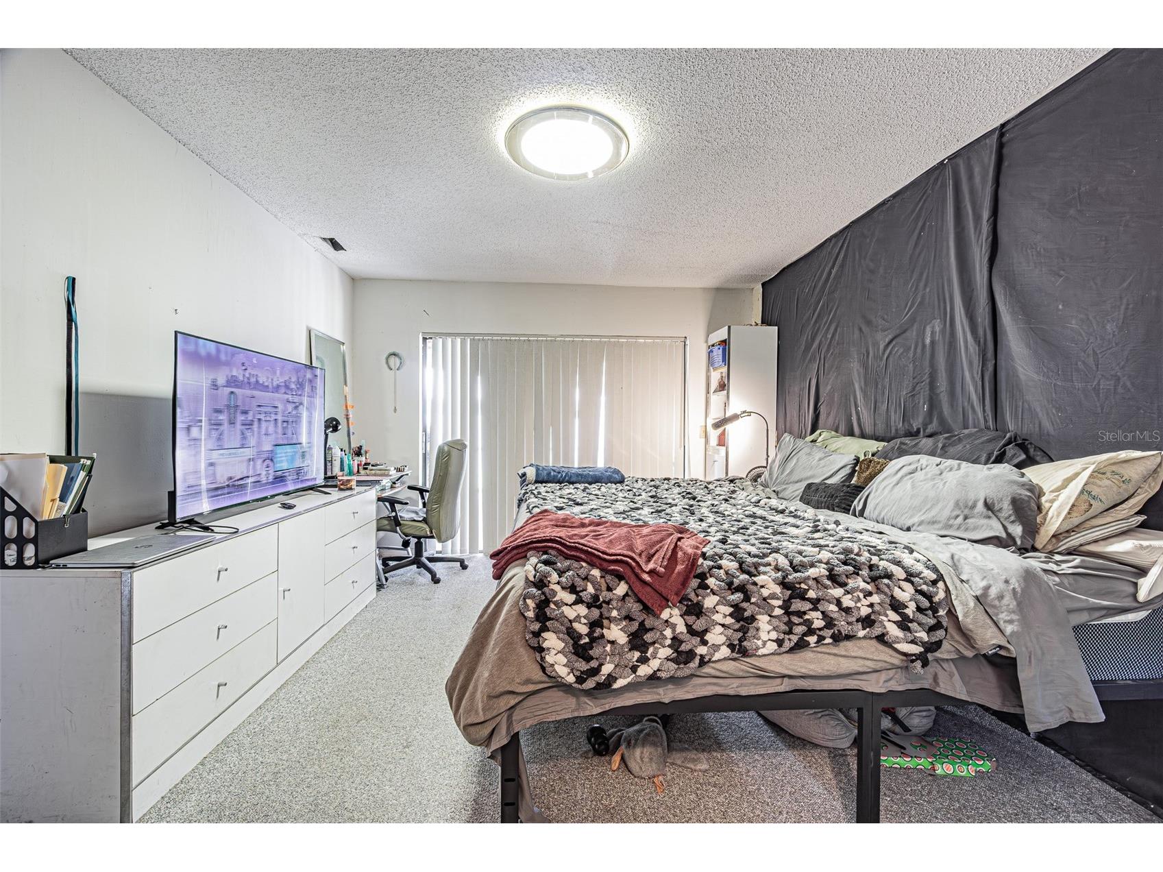 18425 Swan Lake Drive Lutz FL 33549 TB8521778 image43