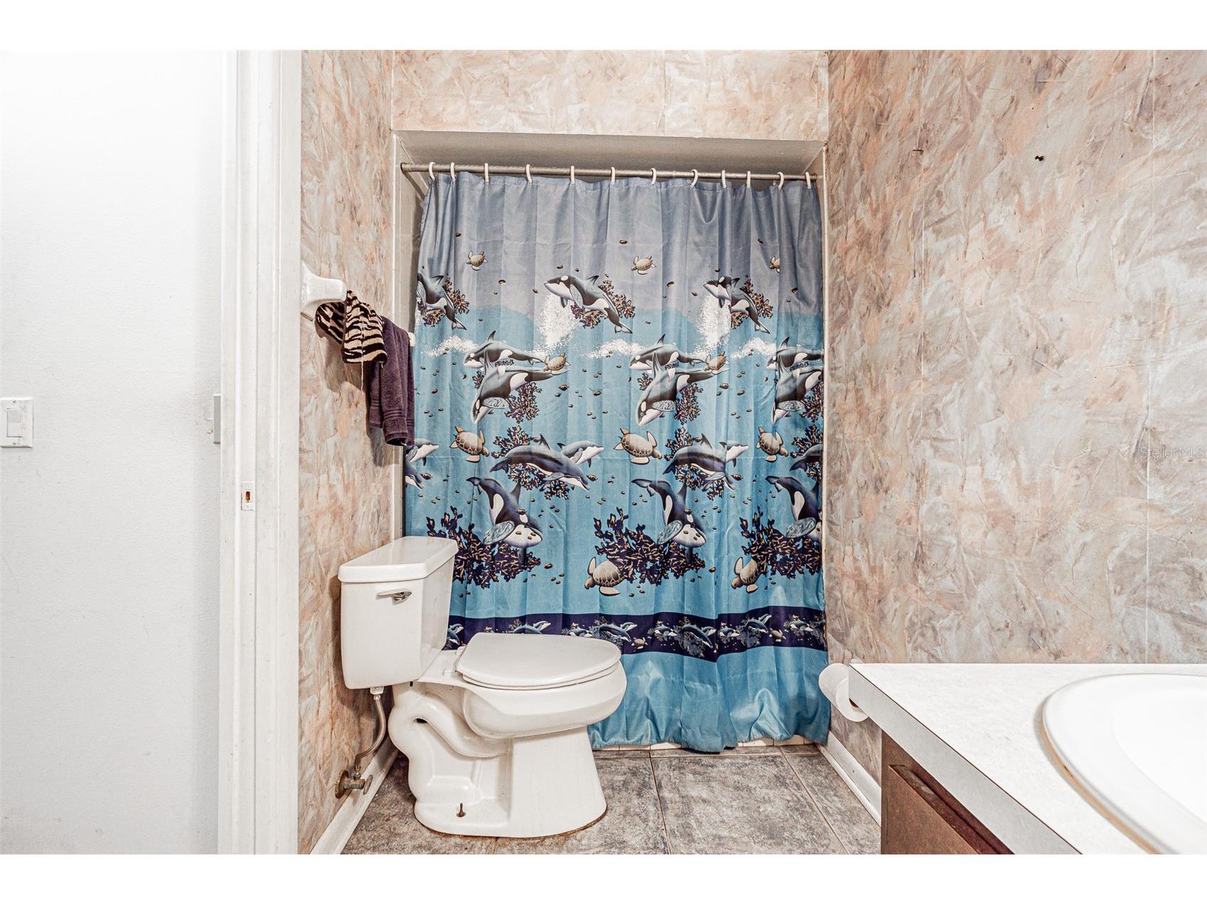 18425 Swan Lake Drive Lutz FL 33549 TB8521778 image47