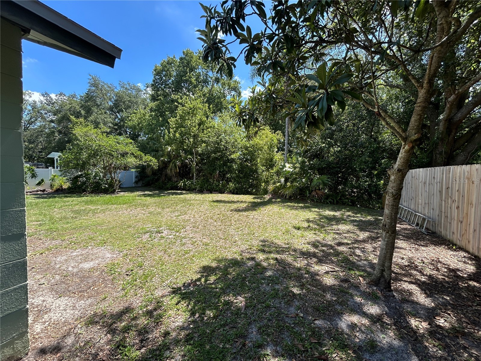 18425 Swan Lake Drive Lutz FL 33549 TB8521778 image52