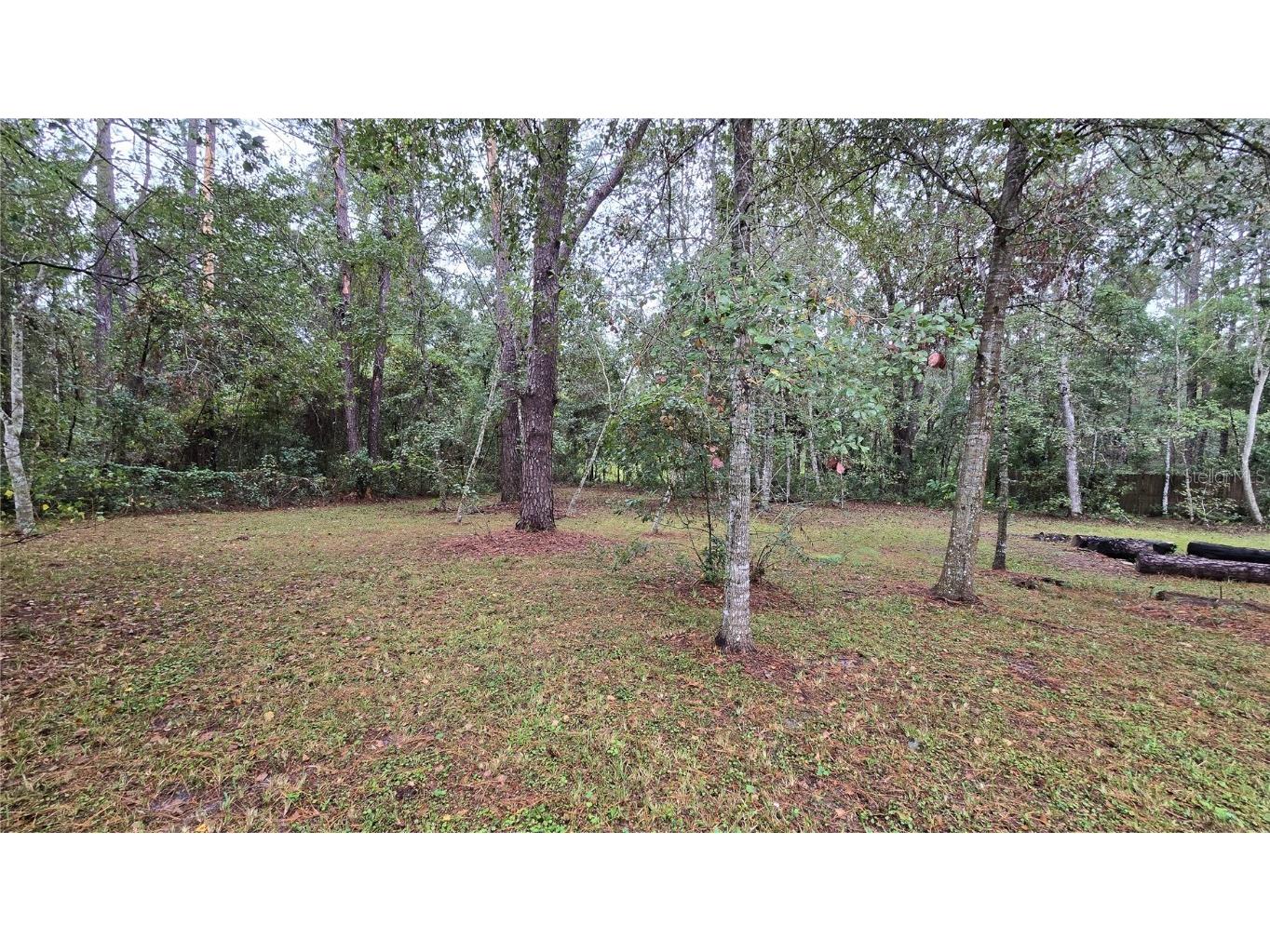 18426 Powell Road Brooksville FL 34604 TB8442224 image25