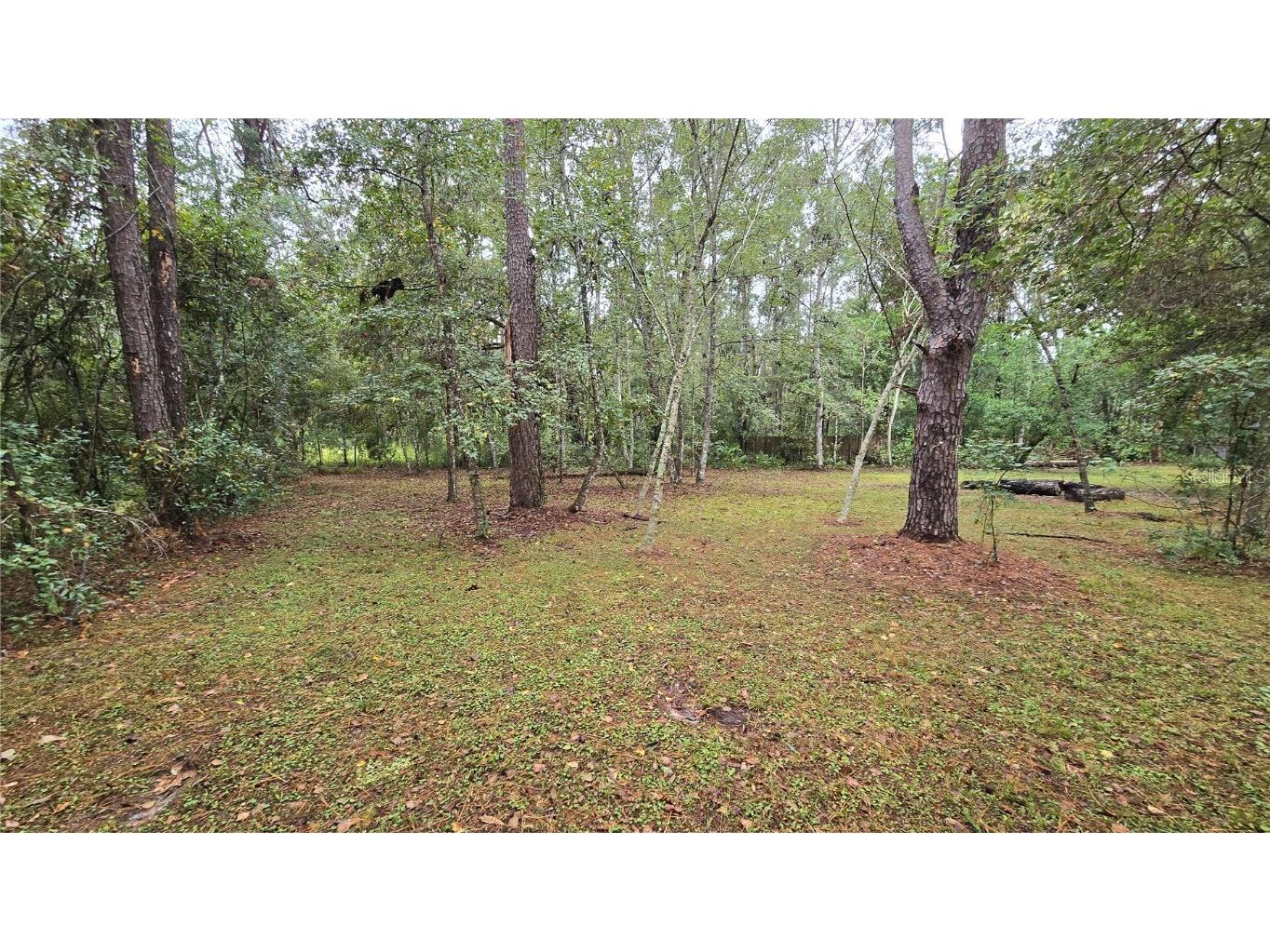 18426 Powell Road Brooksville FL 34604 TB8442224 image27