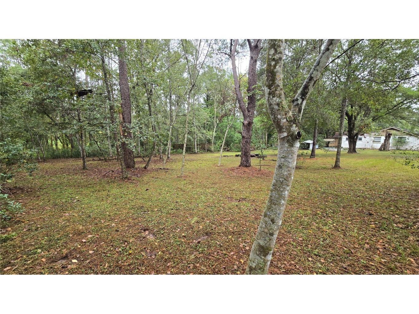 18426 Powell Road Brooksville FL 34604 TB8442224 image28