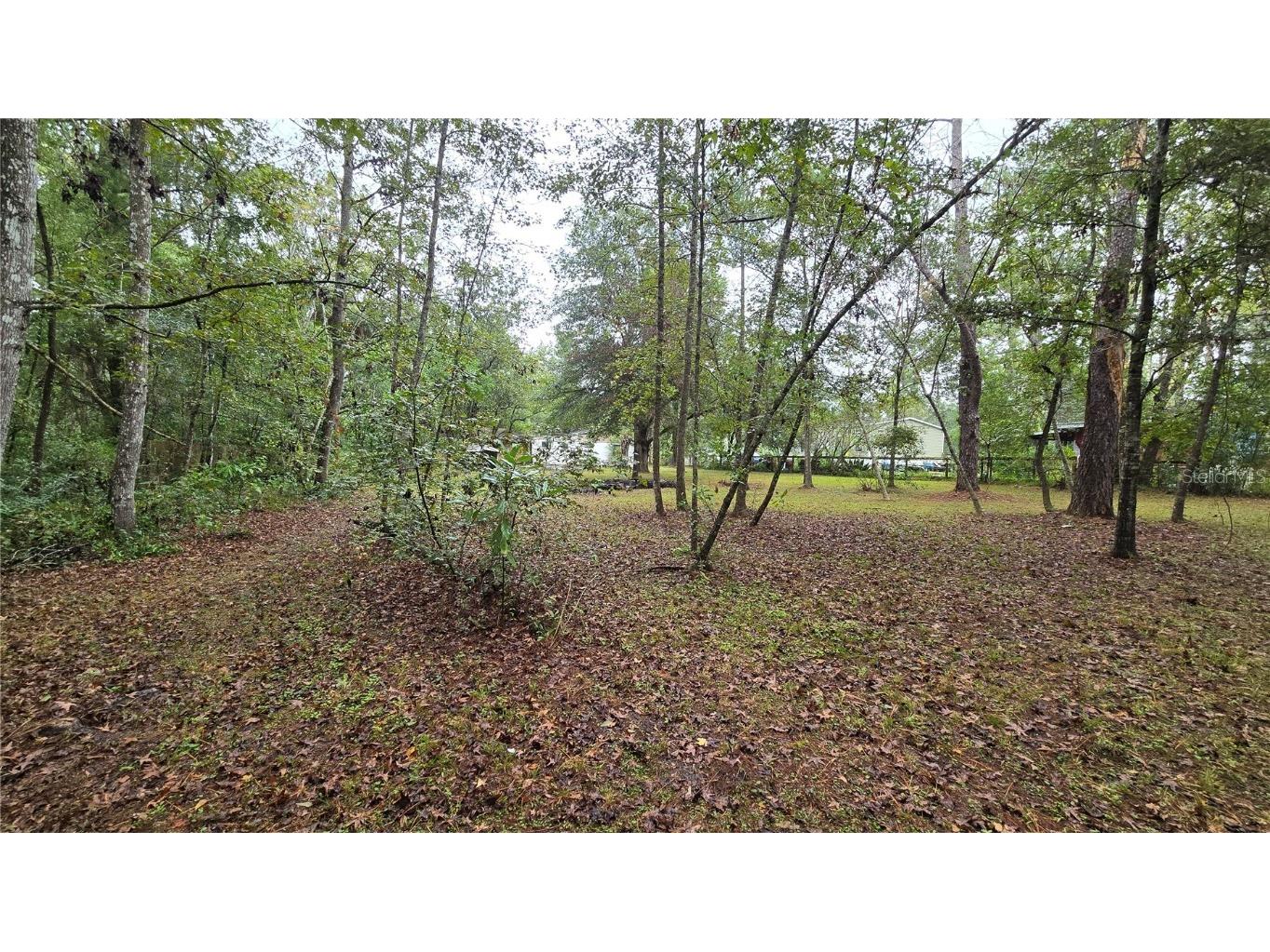 18426 Powell Road Brooksville FL 34604 TB8442224 image29