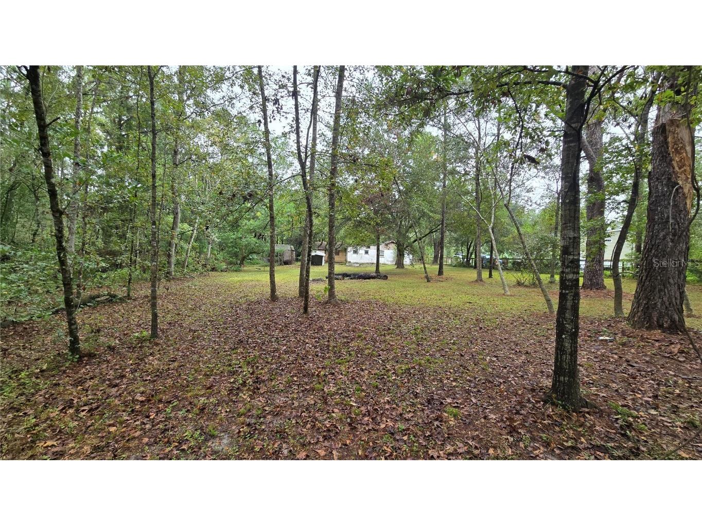 18426 Powell Road Brooksville FL 34604 TB8442224 image30