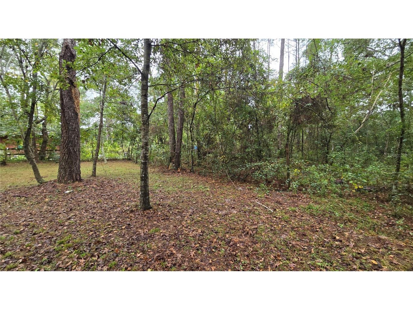 18426 Powell Road Brooksville FL 34604 TB8442224 image31