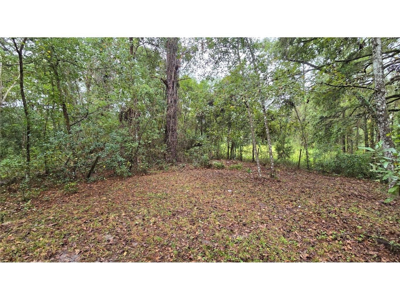 18426 Powell Road Brooksville FL 34604 TB8442224 image32