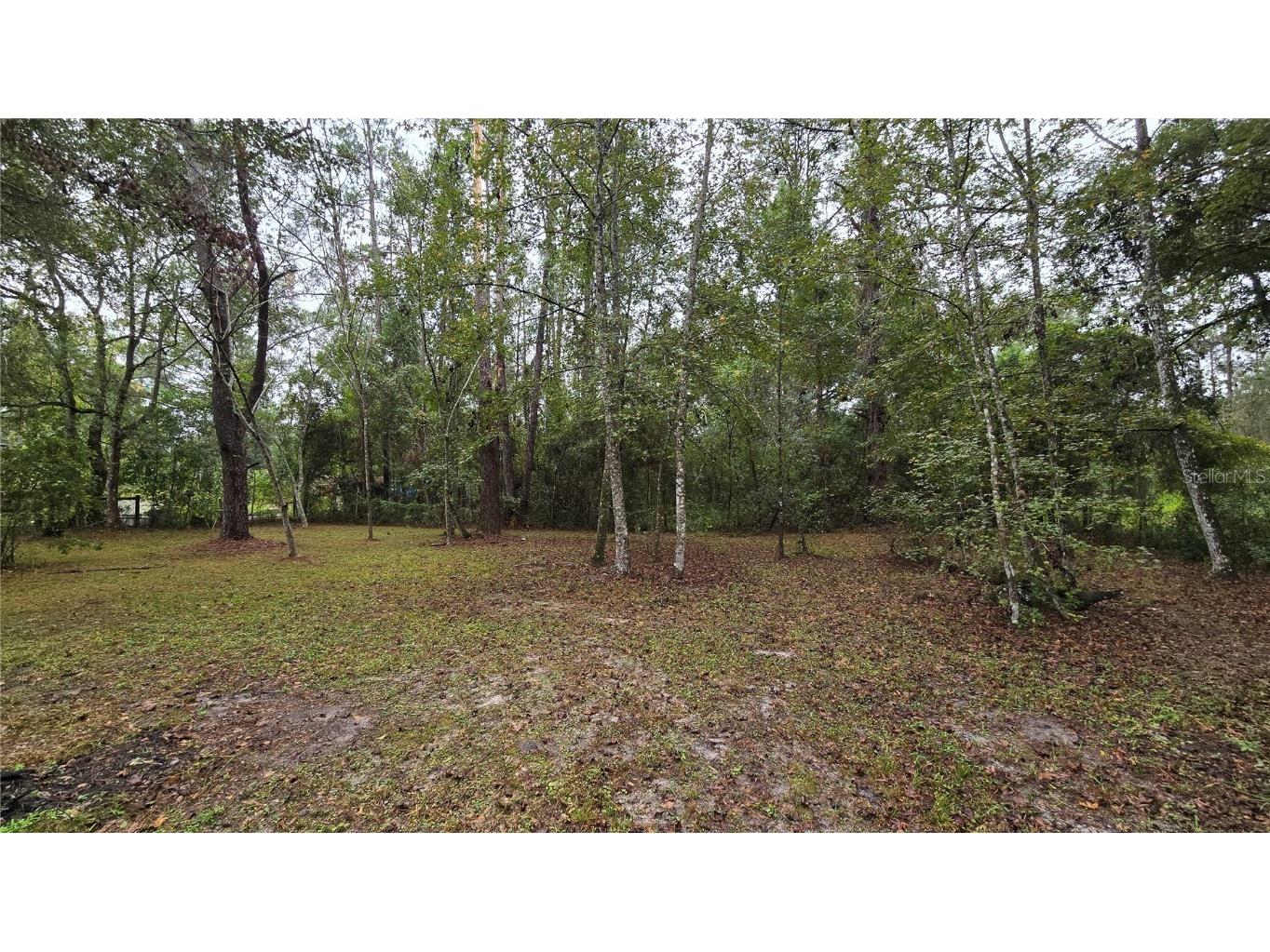 18426 Powell Road Brooksville FL 34604 TB8442224 image33