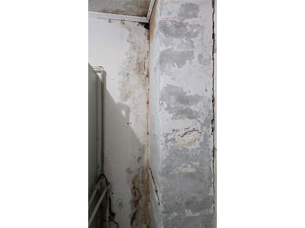 18426 Powell Road Brooksville FL 34604 TB8442224 image83