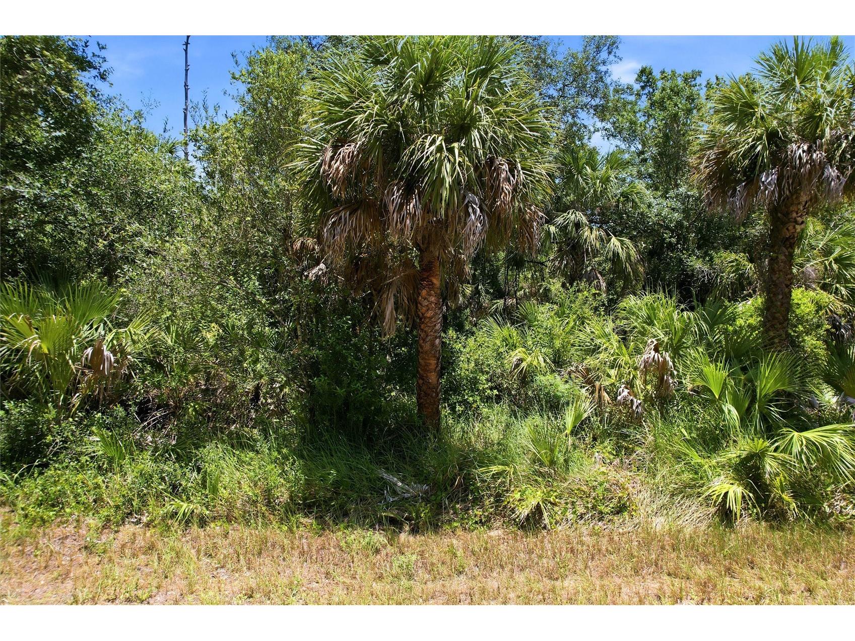 18426 Sagamore Avenue Port Charlotte FL 33954 NS1088470 image13