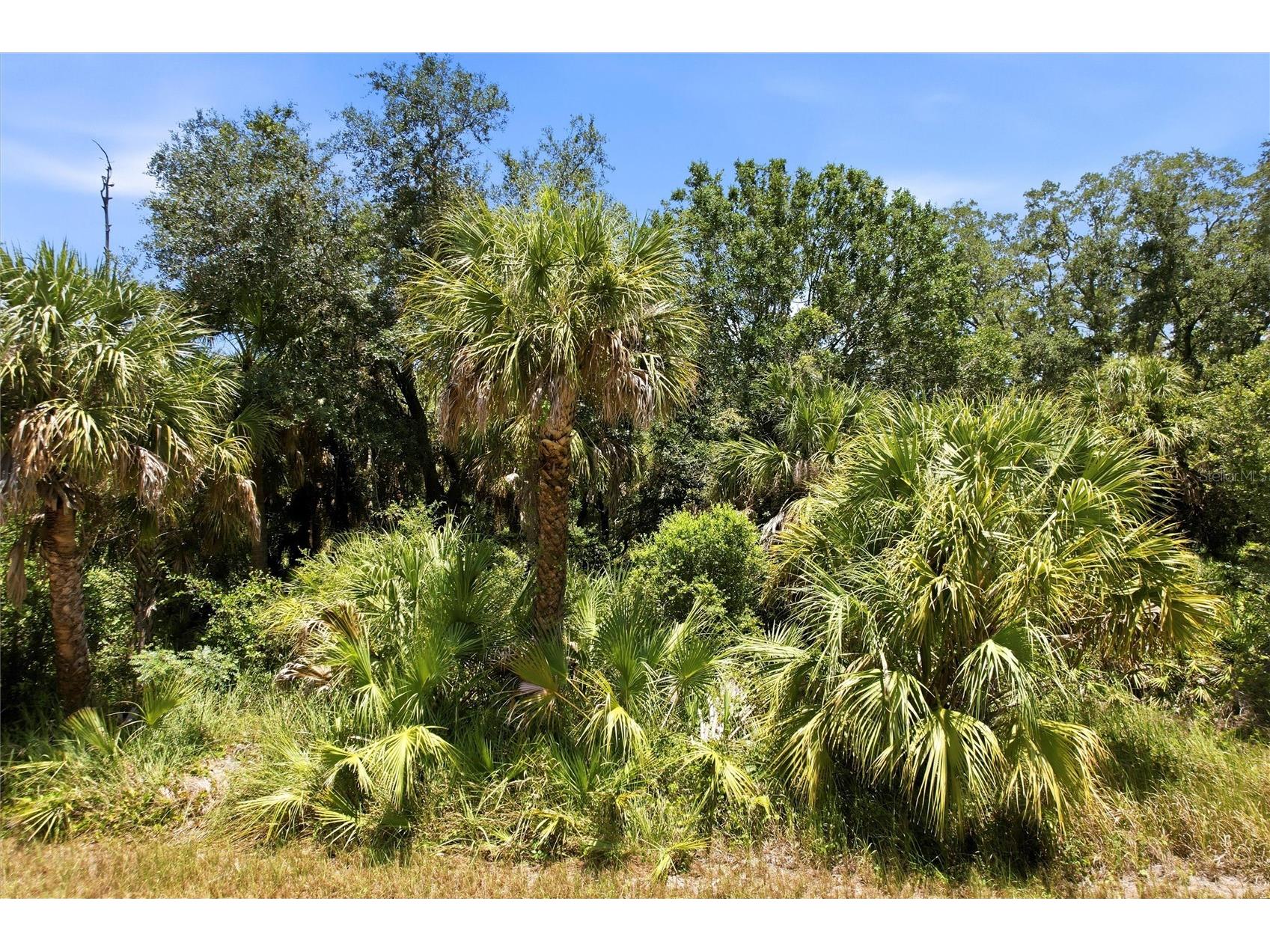 18426 Sagamore Avenue Port Charlotte FL 33954 NS1088470 image2