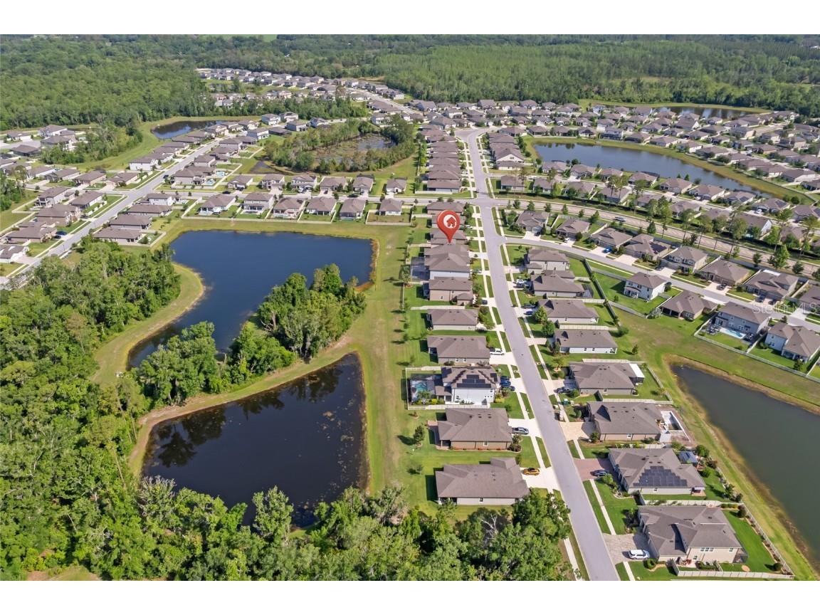 18428 Malinche Loop Spring Hill FL 34610 TB8388205 image45