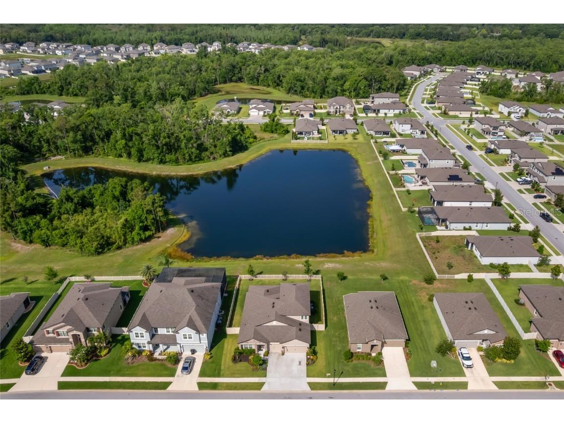 18428 Malinche Loop Spring Hill FL 34610 TB8388205 image46