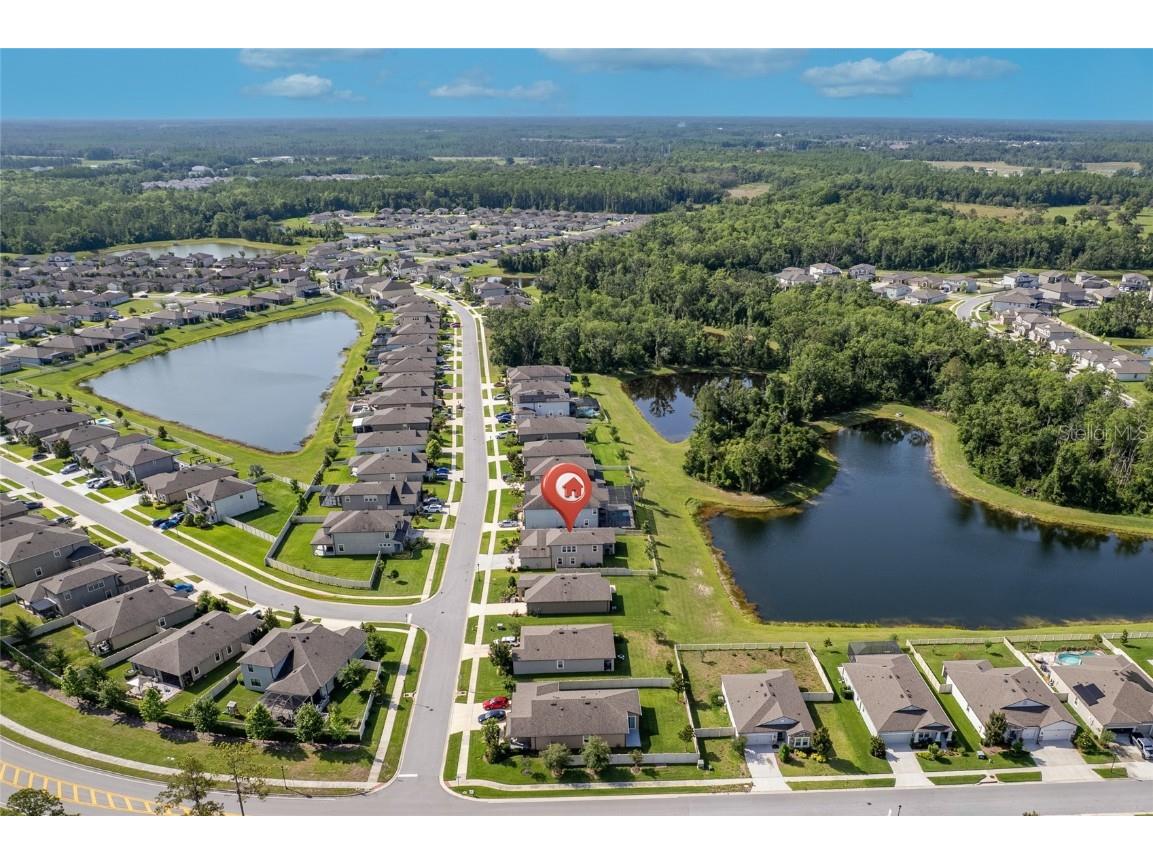 18428 Malinche Loop Spring Hill FL 34610 TB8388205 image48