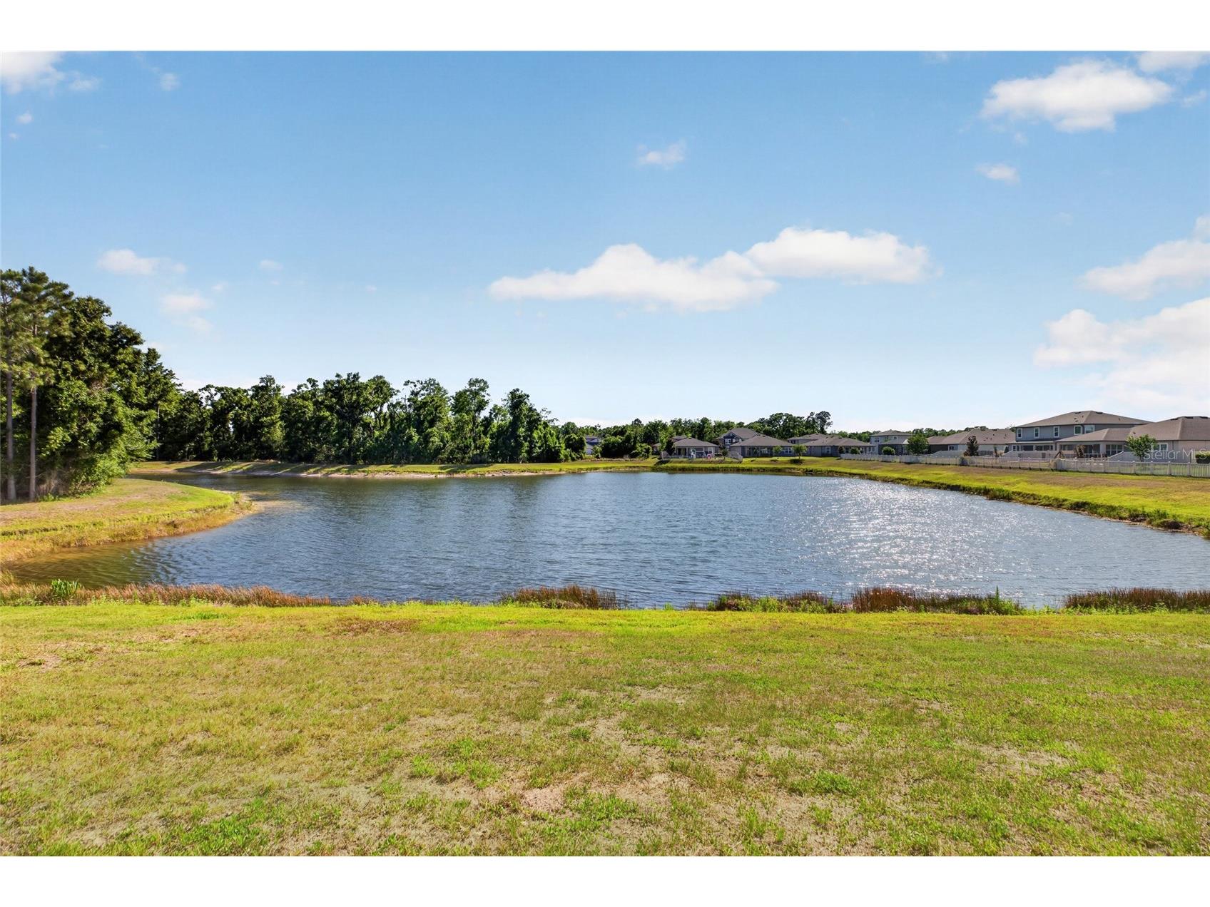 18428 Malinche Loop Spring Hill FL 34610 TB8504498 image57