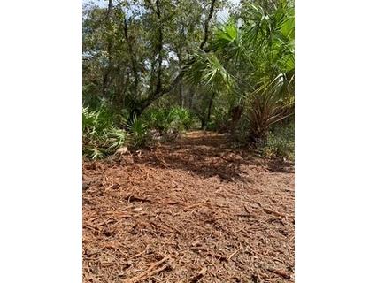 18429 Retriever Road Weeki Wachee FL 34614 TB8408997 image3