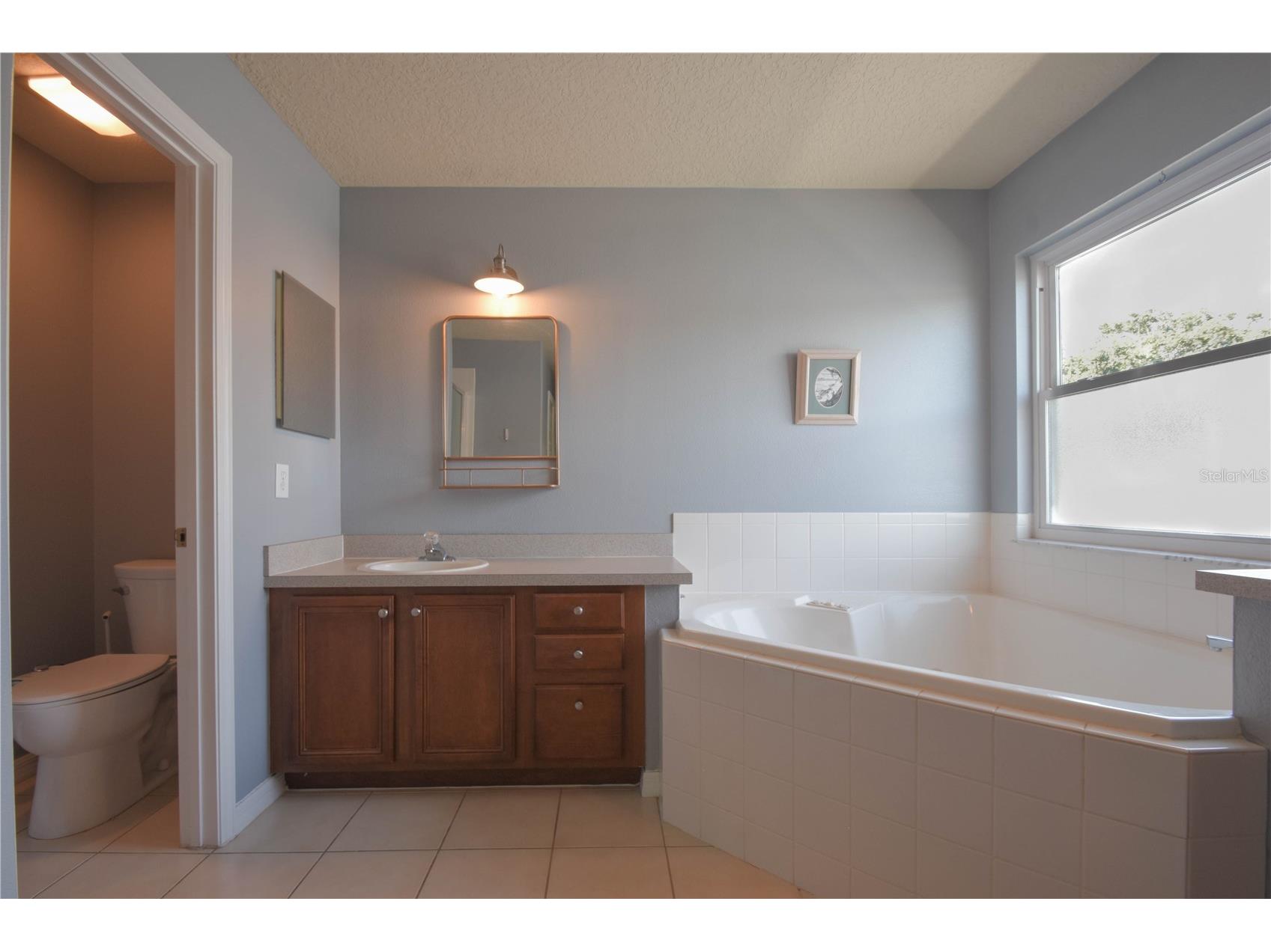 1843 Anna Catherine Drive Orlando FL 32828 O6329163 image30