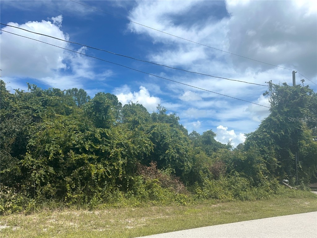 1843 Bonkirk Drive Deltona FL 32738 O6340701 image4
