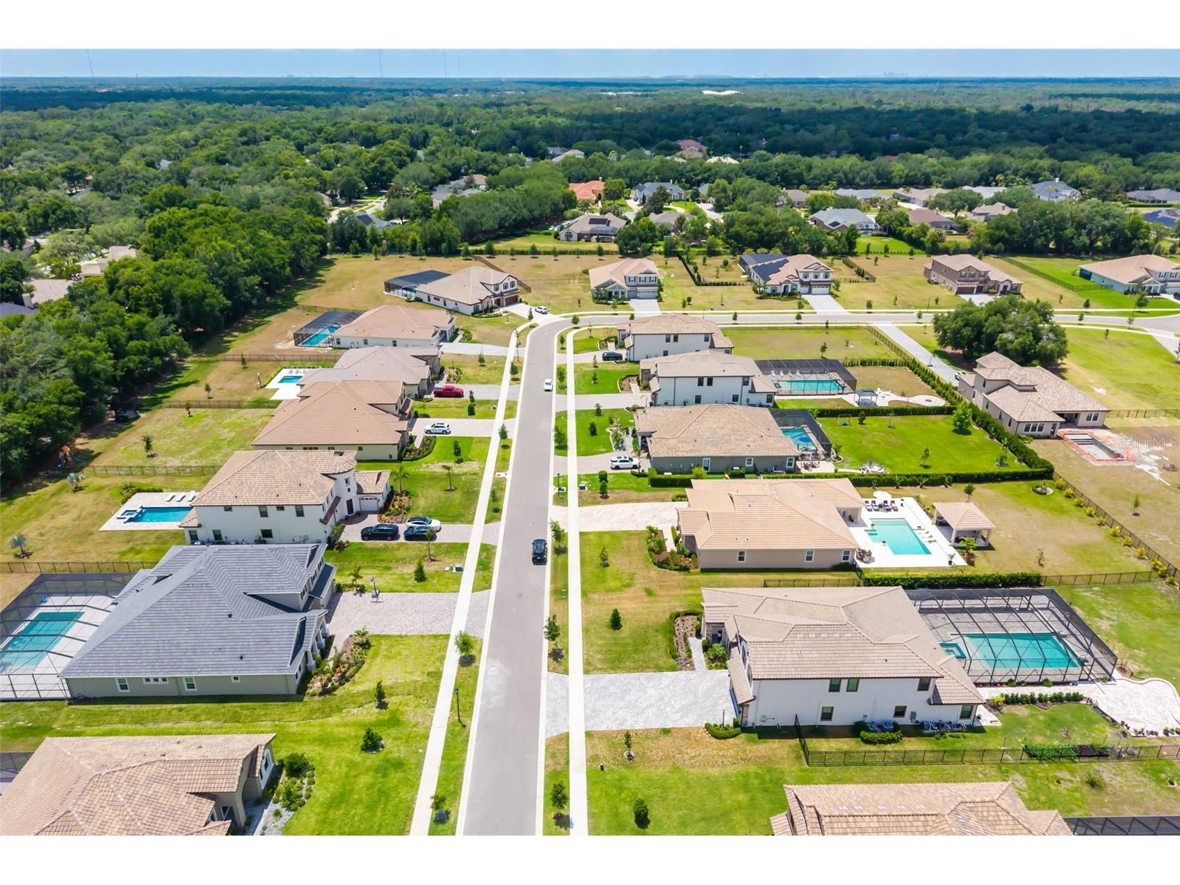 1843 Cattle Baron Court Lithia FL 33547 A4693421 image77