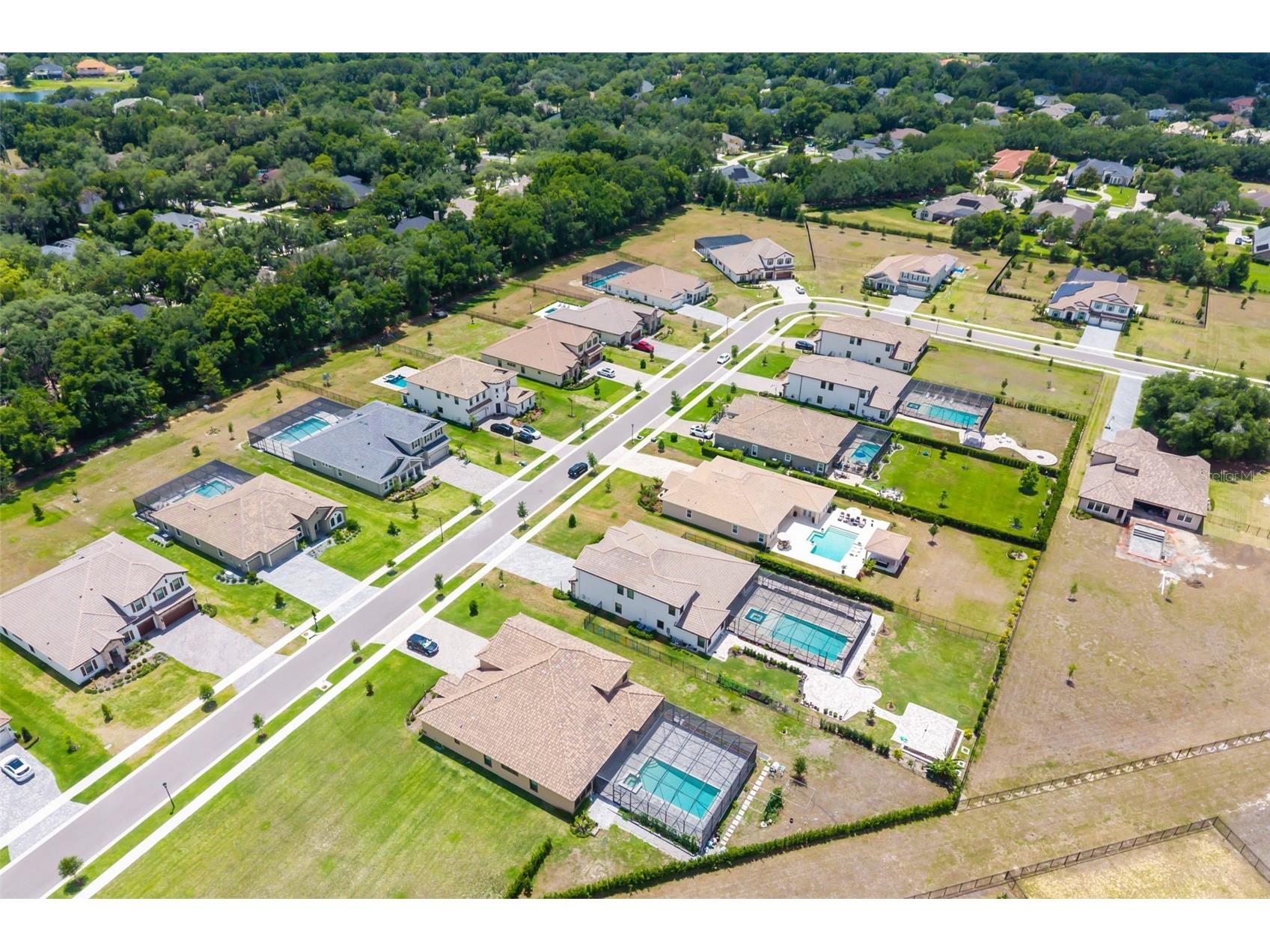 1843 Cattle Baron Court Lithia FL 33547 A4693421 image79