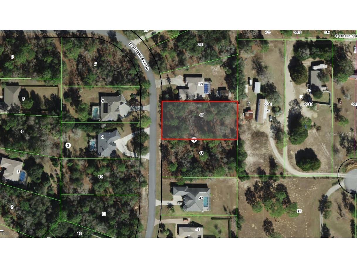 1843 E Saint James Loop Inverness FL 34453 W7875594 image4