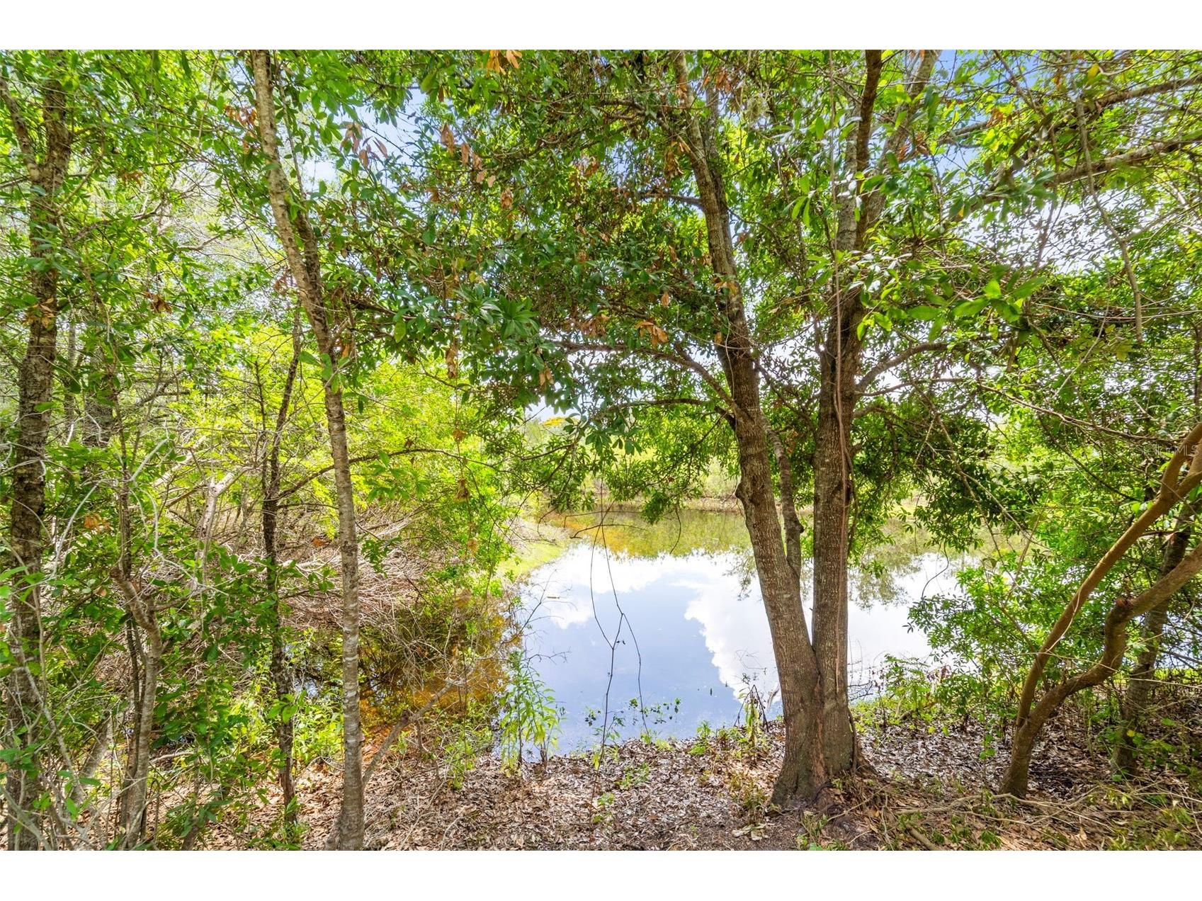 1843 Juanita Court Clearwater FL 33764 - ALLENS CREEK TB8469711 image63