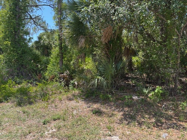 18431 Fremont Avenue Port Charlotte FL 33954 N6138961 image4
