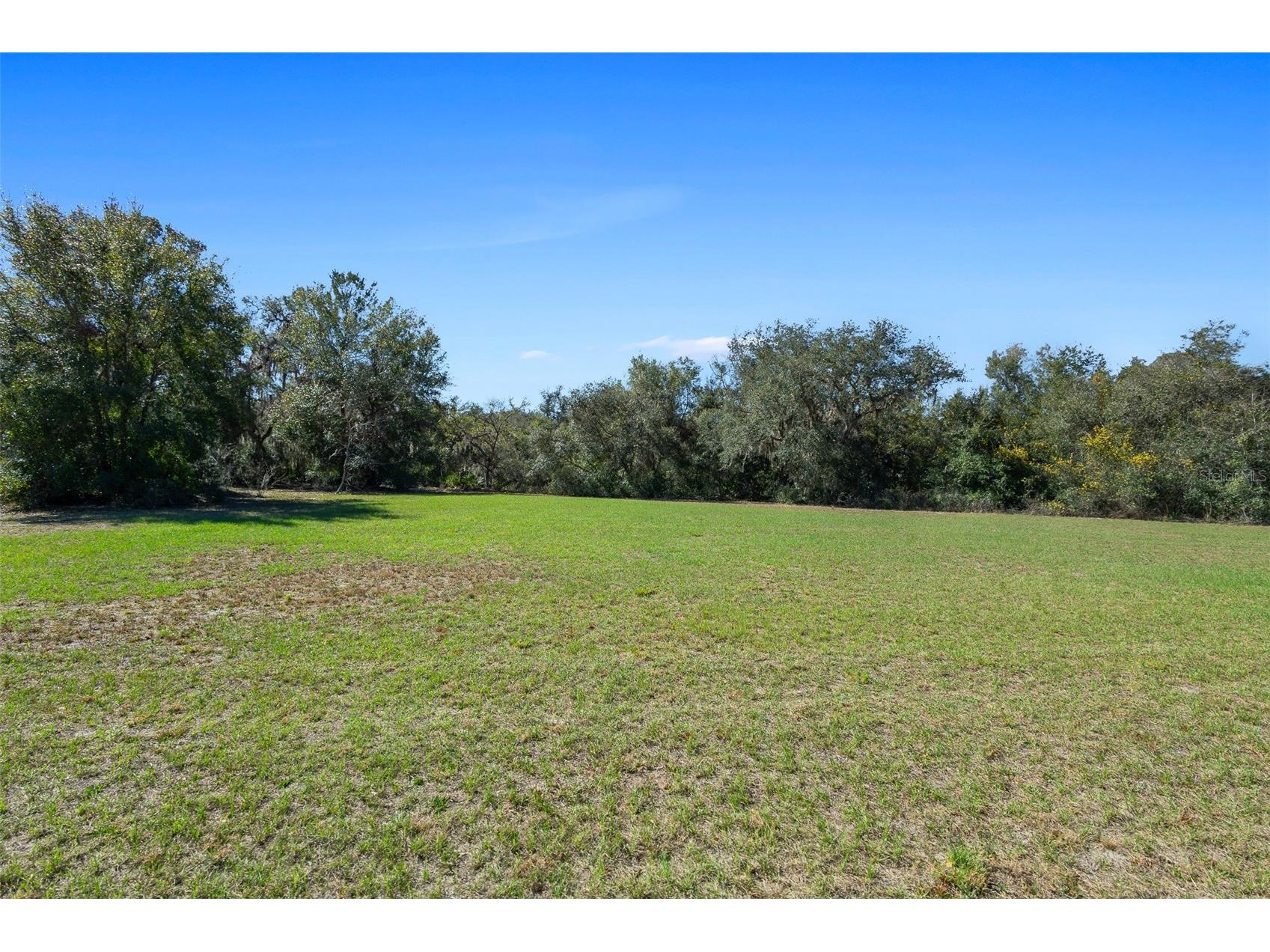 18434 SE 24th Street Silver Springs FL 34488 - LAKE BRYANT OM719687 image1