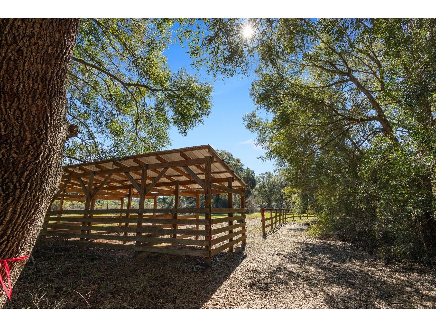 18434 SE 24th Street Silver Springs FL 34488 - LAKE BRYANT OM719687 image2