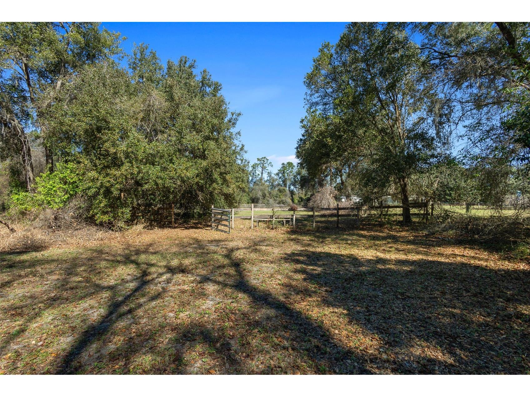 18434 SE 24th Street Silver Springs FL 34488 - LAKE BRYANT OM719687 image4