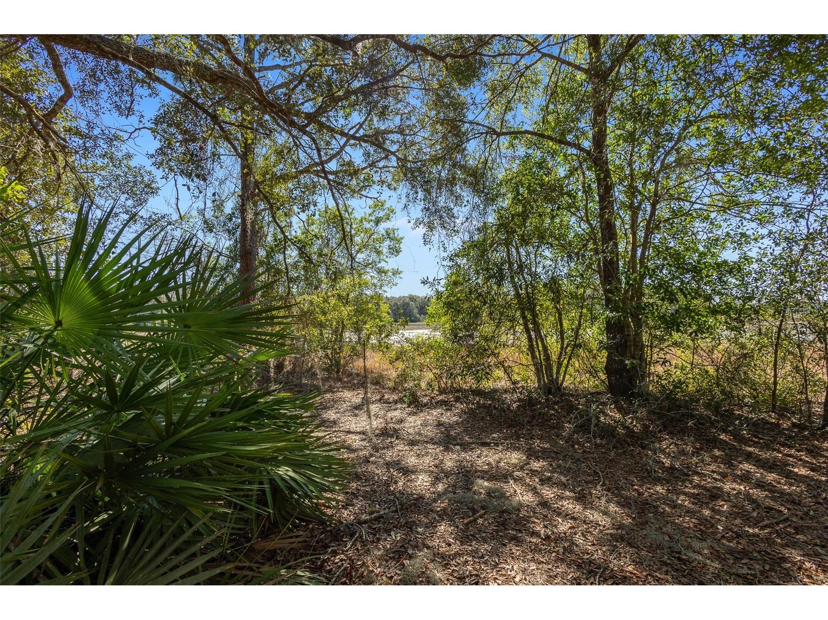 18434 SE 24th Street Silver Springs FL 34488 - LAKE BRYANT OM719687 image6