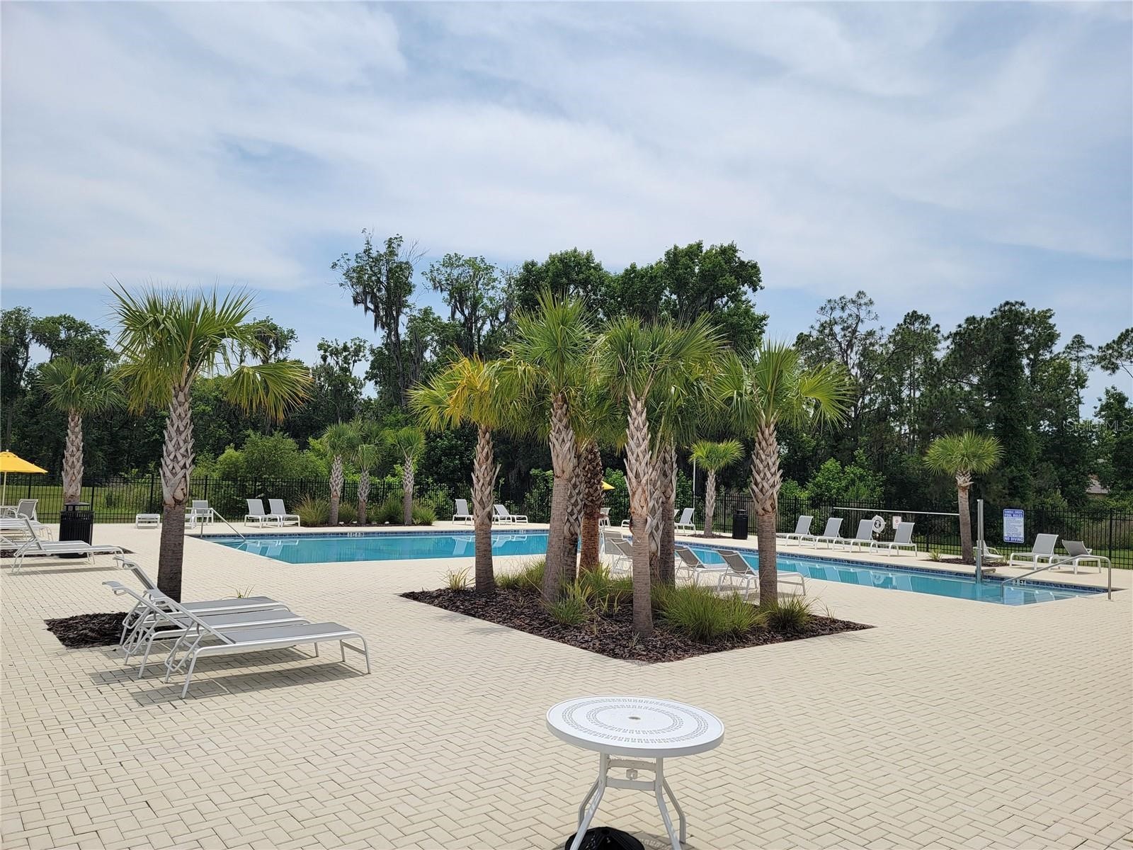 1844 Red Loop Lakeland FL 33801 TB8517581 image21