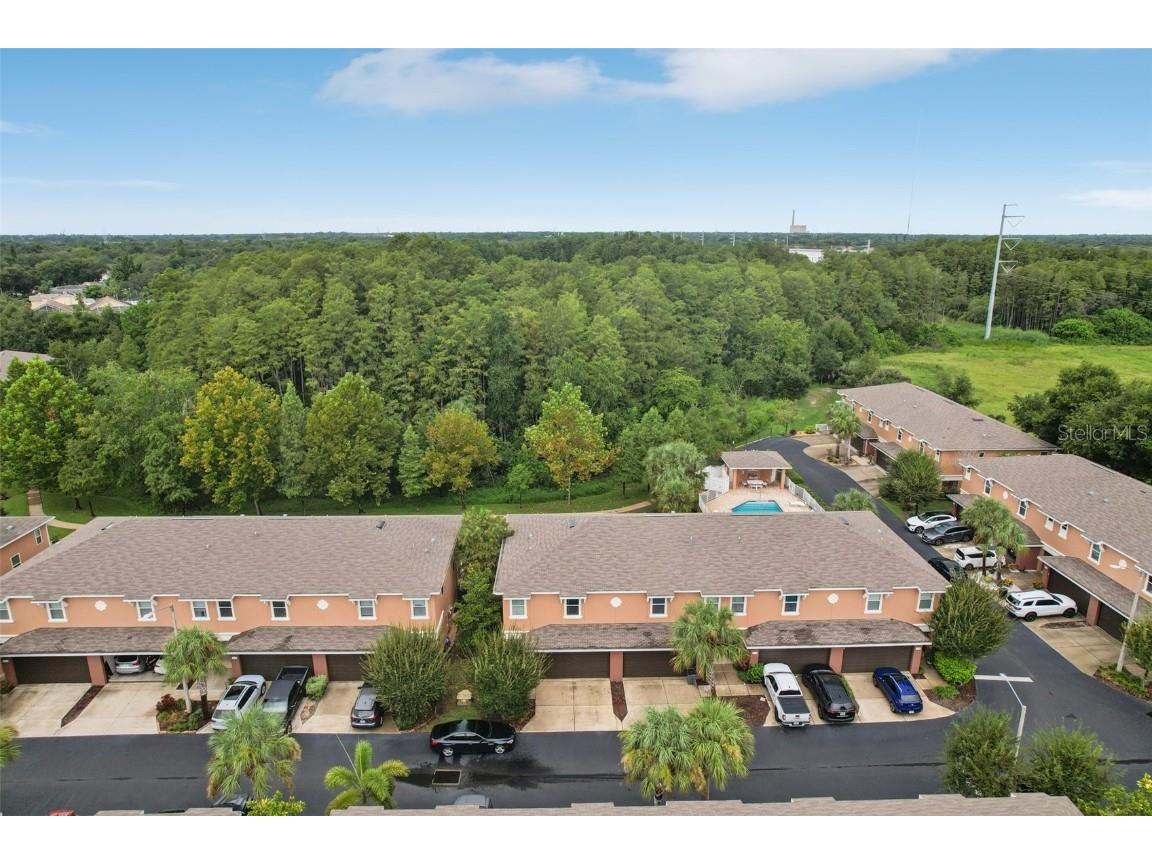 1844 Sommarie Way Tarpon Springs FL 34689 TB8420771 image46